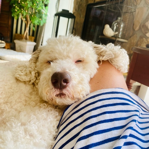 Meet your Posher Jennifer💚 - Picture 5 of 12